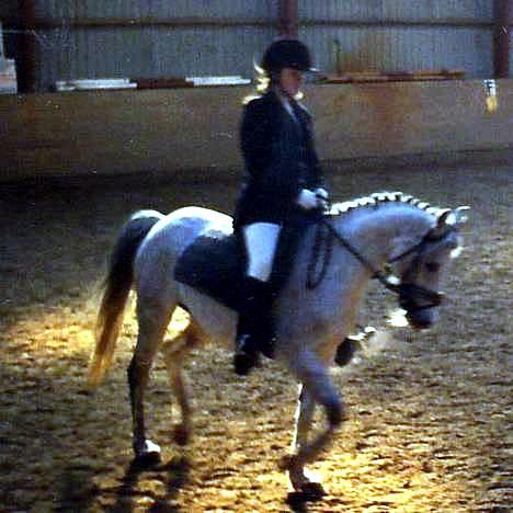 Tysk Sportspony Julia  - Til stævne i rideklubben , vandt 1 plads ... høh billede 4