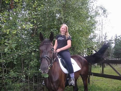 Dansk Varmblod Noble One "Bambi" - Meg og Bambi, sensommeren -03. billede 5