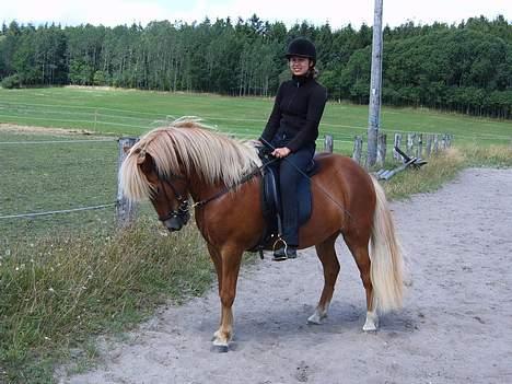 Islænder Vægir Fra Lønne - Sommer ´05 billede 18