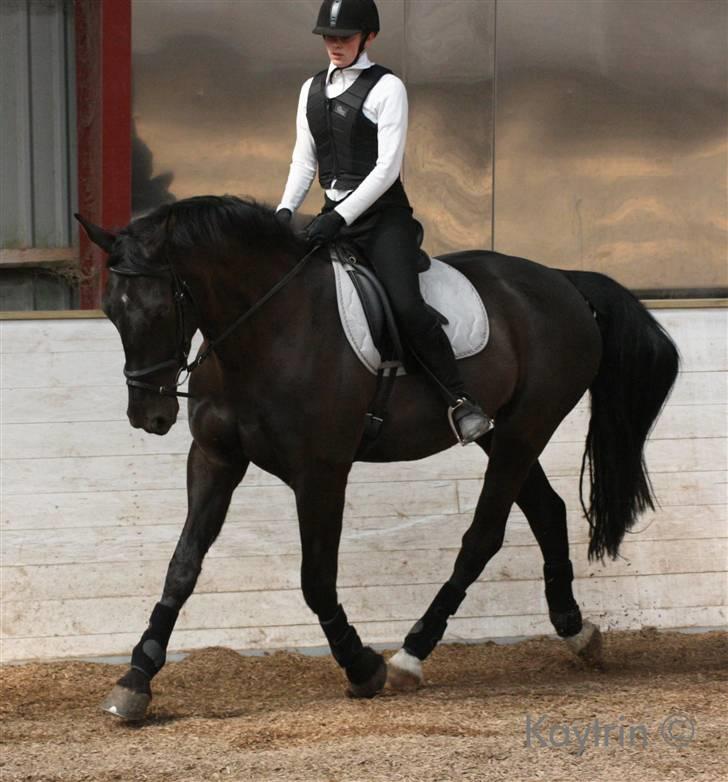 Oldenborg Alexia af Vodagergård - Fra april 2007 - Julie rider Alexia - Billedet er venligst udlånt af www.kaytrinfoto.dk billede 13