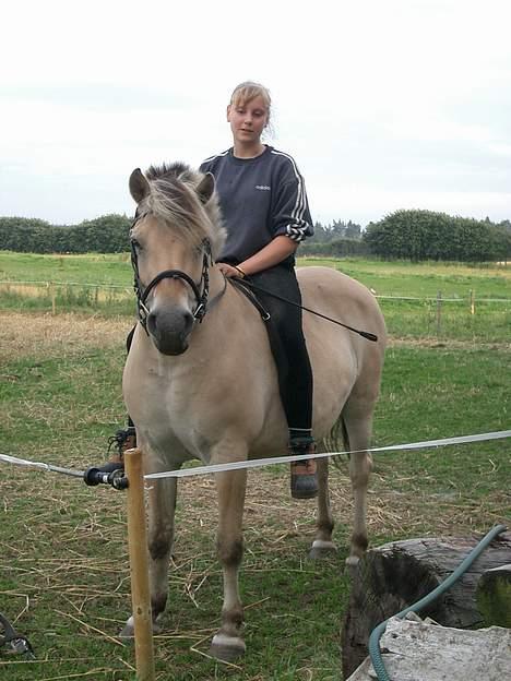 Fjordhest Freja †RIP 23/11-2010 - 2006 billede 20