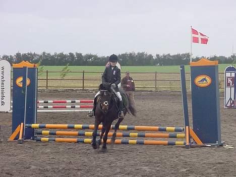 Anden særlig race Dark Beauty - Stævne på Dark Beauty billede 3