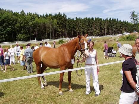Frederiksborg Locky Classic *Solgt* - Her er vi så til dyrskue på bornholm 2005.. Tjek det lige.. En 1. præmie.. billede 6