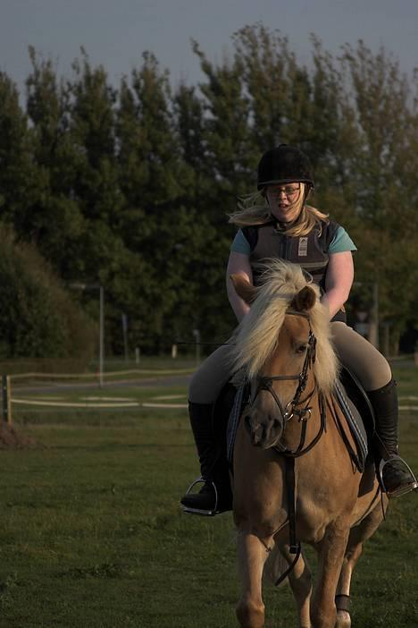 Haflinger Ines (Tidl. pony) - Vi gennemgår lige banen en gang til.. billede 6