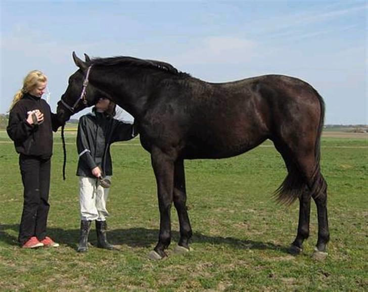 Oldenborg Cleo af Vodagergård - Fra d. 22. april 2007 - Sådan Cleo hygger med Maria og Ann Sofie billede 18