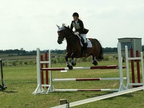 Trakehner MY FAIR TANGO - 2. eller 3. springstævne på Tango... Første LD-LC, dette er en LC til vores springstævne d. 31/7-05... billede 15