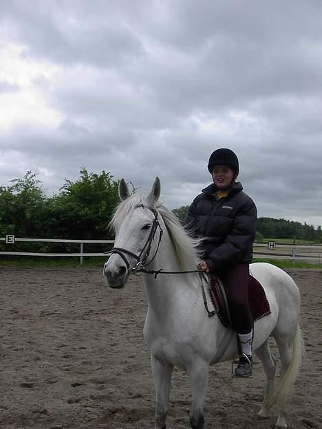 Anglo Araber (AA) Luna(Aflivet) - En lidt grå dag med den der himmel.. smiler.. billede 2