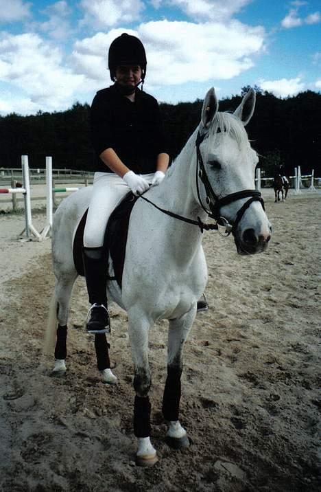 Anglo Araber (AA) Luna(Aflivet) - Her er vi til det først og sidste dressur stævne, skulle bare lige prøve og starte for at se hvorn det gik.. Og ja, det gjorde vi ikke igen! billede 4