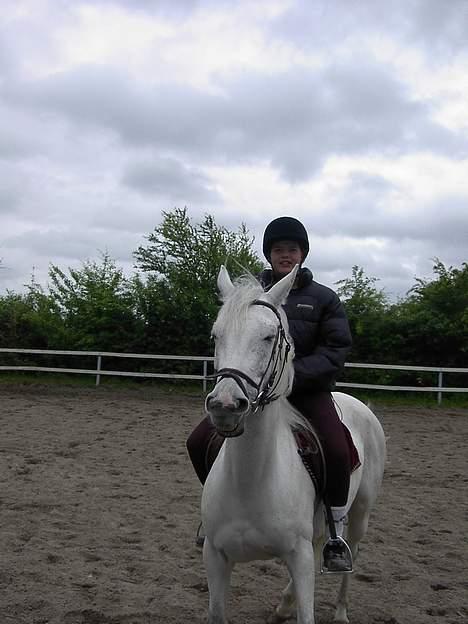 Anglo Araber (AA) Luna(Aflivet) - Se hvor fin jeg er billede 5