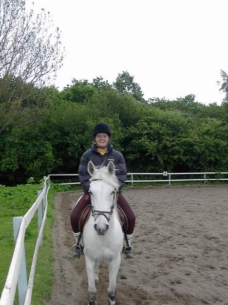 Anglo Araber (AA) Luna(Aflivet) - Sikke vi smiler begge to, tag jer ikke af mit ansigt billede 10