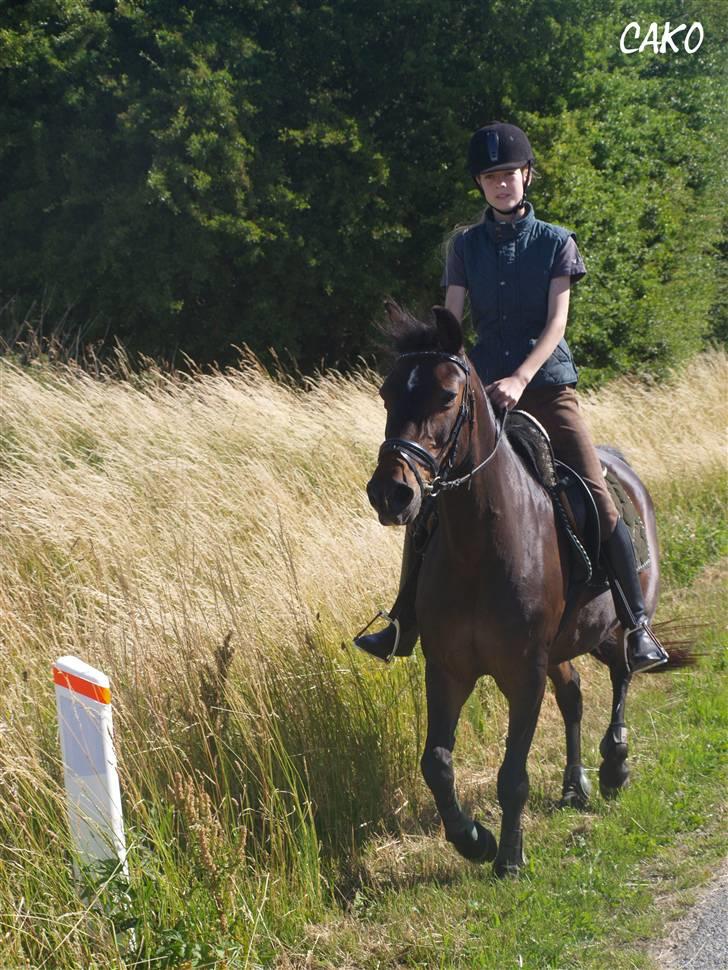 Anden særlig race Dark Beauty - Dark Beauty og Frederikke. Juli 2008. billede 5