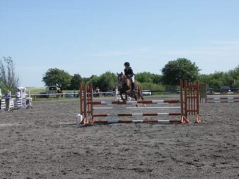 Hollandsk Varmblod Unexpected - Mig og hingsten te DSA stævne i Randers. billede 6