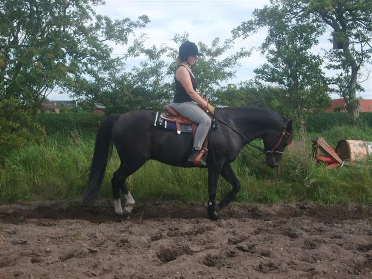 Anden særlig race Lucky Boy - Smukke dreng.. Stine der rider.. billede 6
