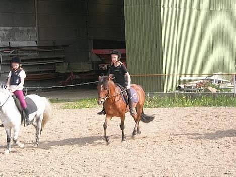 Anden særlig race Baloo  - så er der opmarch..... billede 1