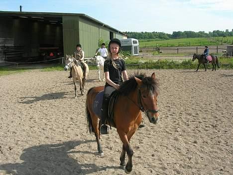 Anden særlig race Baloo  - her er vi til undervisning billede 2