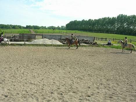 Anden særlig race Baloo  - så er det tid til en galop billede 4