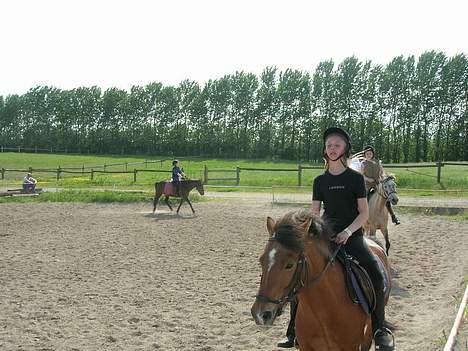 Anden særlig race Baloo  - rolig... billede 6