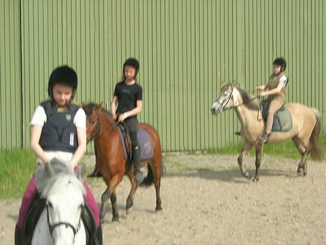 Anden særlig race Baloo  - vi rider i midten.... billede 11