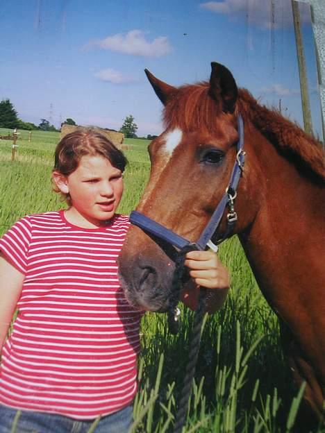Anden særlig race Bandit (død) billede 1