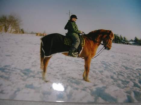 Anden særlig race Bandit (død) billede 2