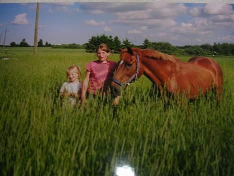 Anden særlig race Bandit (død) billede 5