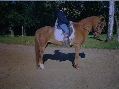 Anden særlig race Bandit (død) billede 6