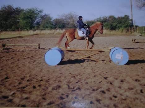 Anden særlig race Bandit (død) billede 7