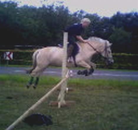 Fjordhest Debbig (død) - Debbig og Pernille springer.. juli 2005 billede 9