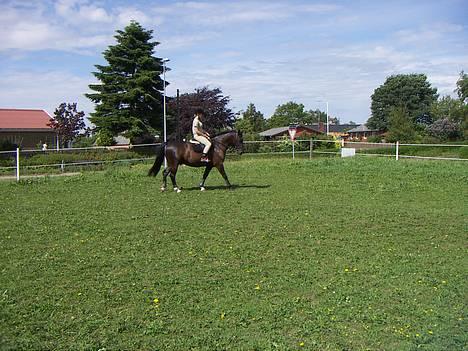 Oldenborg Kielstrupgårds MR. Malou  -  <3<3<3<3<3 billede 16