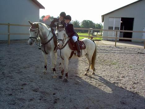 Anden særlig race Quila - springstævne i stauslykke... billede 20
