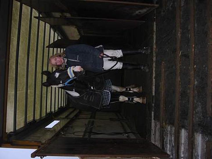 {{currentPhoto.altText}} billede {{currentPhoto.number}}