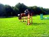 New Forest                      Ulka