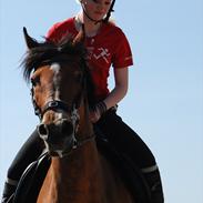 Anden særlig race Chateâu - [Julie]