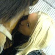 Gotlandsruss Valbyholms Gotland