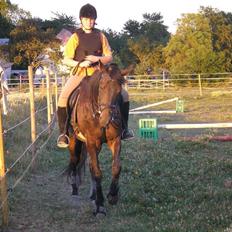 Traver Hippolitta *solgt*