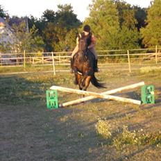 Traver Hippolitta *solgt*