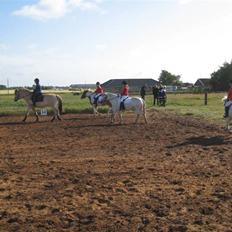 Anden særlig race Coco