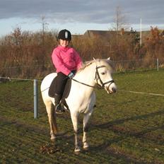 Anden særlig race Coco