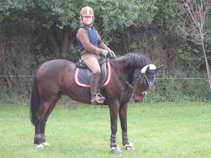 DSP okay charlie! SOLGT ;( - kun minderne tilbage! billede 18