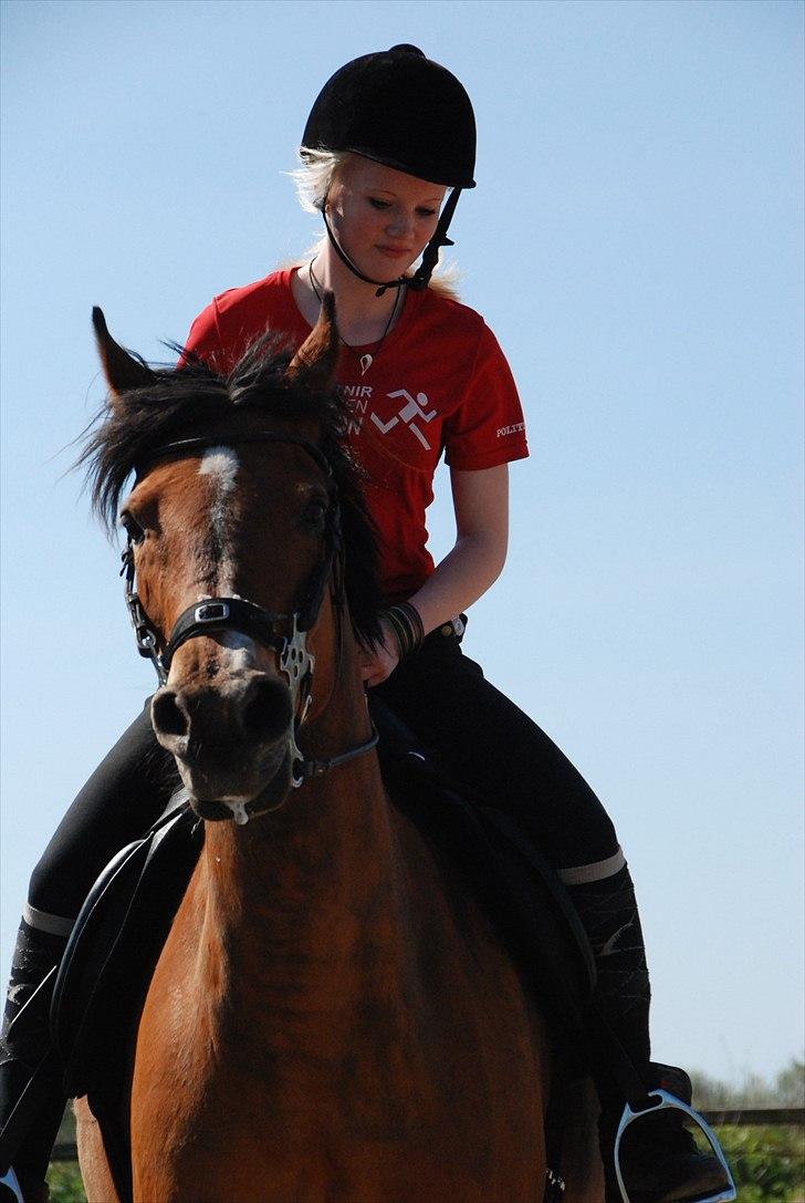 Anden særlig race Chateâu - [Julie] - Challe savler :D April 2011 billede 5