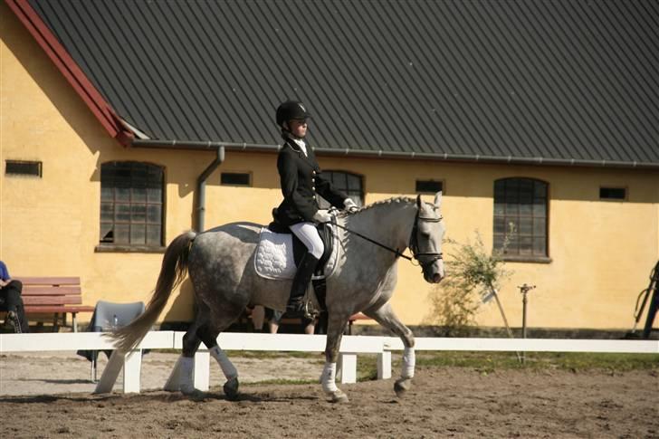 DSP Mon Dieu billede 15