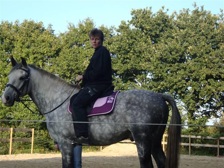 Cruzado Thorsvang´s Don Juan - er vi ikke bare søde sammen billede 16