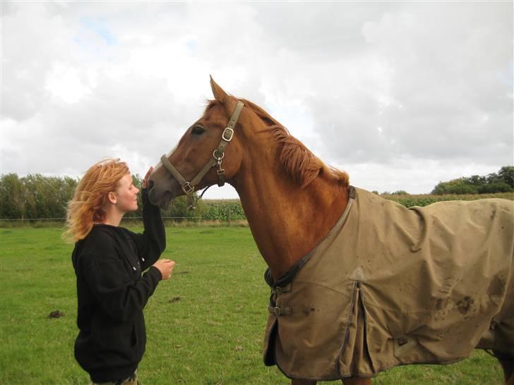 Fuldblod (XX) Dior- På de evige græsmarker :( - Dior og mig - dagen hvor han kom til Fanø billede 1