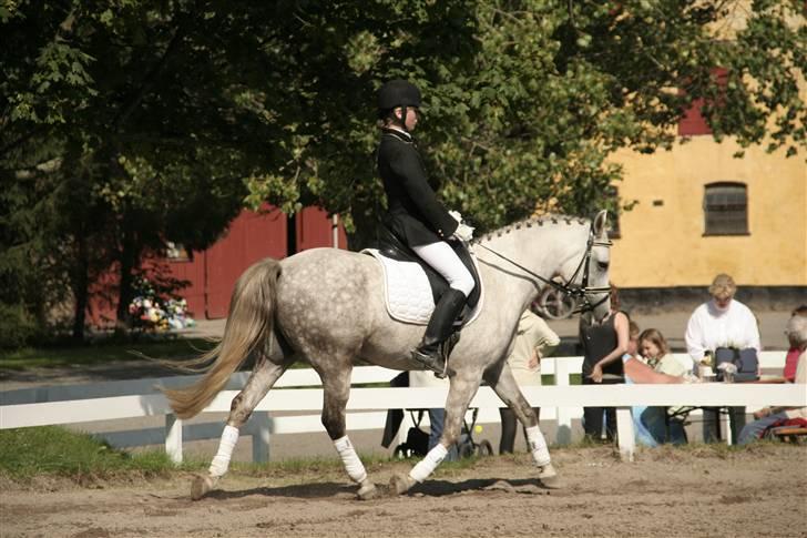 DSP Mon Dieu billede 17