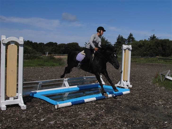 Anden særlig race Blade ( Solgt ) :( - halløj ? billede 16