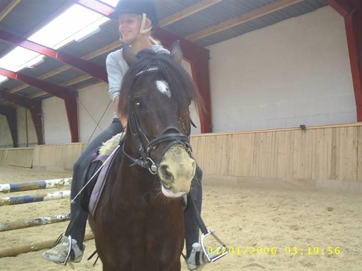 Anden særlig race Blade ( Solgt ) :( - ups sandet sidder fast hvis man er blevet våd glem ikke det billede 17