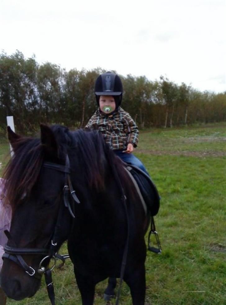 Anden særlig race Blade ( Solgt ) :( - min fætter lukas & Blade XD <3 billede 18