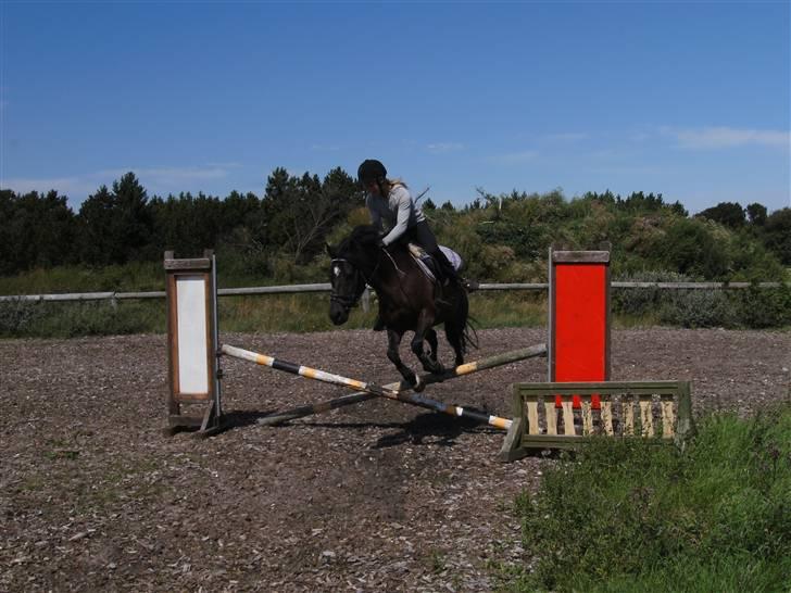 Anden særlig race Blade ( Solgt ) :( - hej hej .....;D billede 19