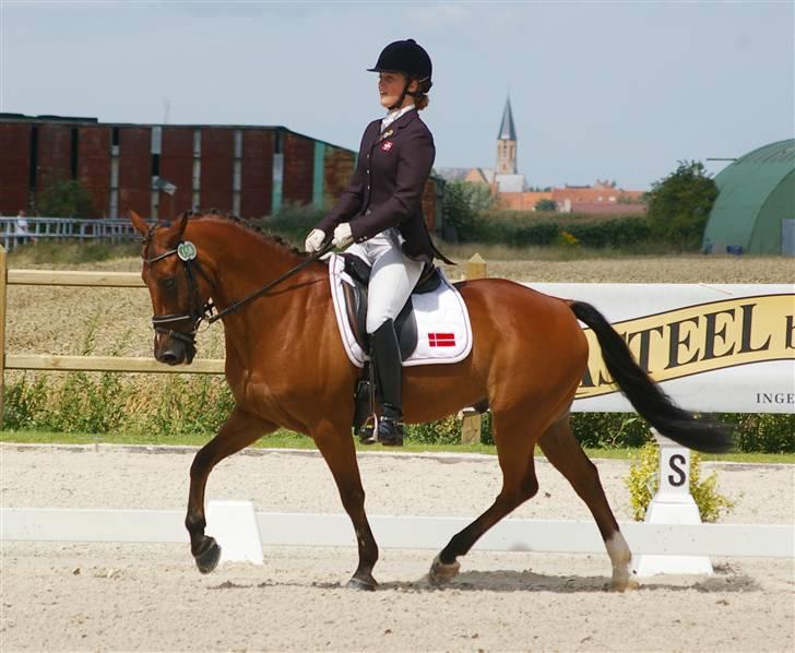 Anden særlig race Surprice A-pony -  Europamesterskabet :D billede 1