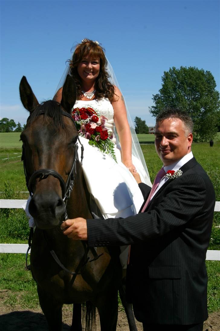 Dansk Varmblod Bolingi - Fandt lige et billed fra juli 06, da Bolingi var bryllups hest, smiler. billede 12